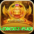 afghanistan cricket - Premium v2.4.9