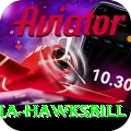 antigua hawksbill Ultimate v5.9.6