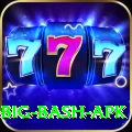 bbl big bash apk Premium Plus v1.8.3