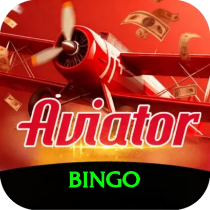 bingo Max v3.2.8 - 2