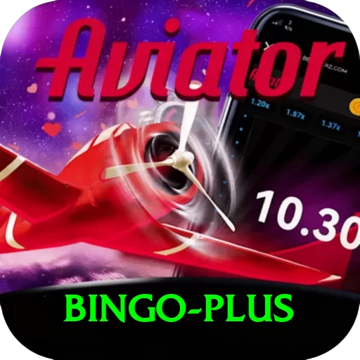 bingo Pro1 v5.4.5 - 2