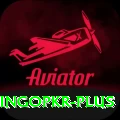 bingopkr Premium Plus v5.5.8