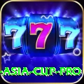 cricket asia cup Game Legend v3.2.8