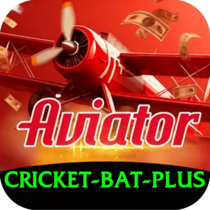 cricket bat Cash Gold - 2