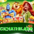 danushka gunathilaka Apps (Tools & Injectors) Deluxe v1.7.2