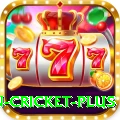 fastest ball in cricket - Legend Edition v4.5.5