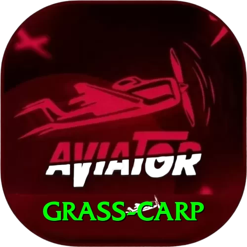 grass carp Gold Edition v3.9.2 - 2
