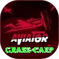 grass carp Gold Edition v3.9.2