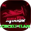hong kong cricket team Turbo v1.8.1
