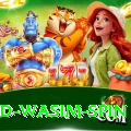 imad wasim spin Master Pro v5.5.5