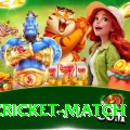 india cricket match Ultimate v2.3.2