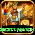 india pakistan cricket match Deluxe Pro v1.6.2