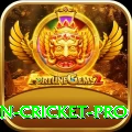 india pakistan cricket Slot Machine Prime