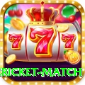 international cricket match Pro Max v5.7.9