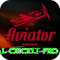 international cricket Turbo Jackpot
