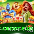 one cricket Slots Supreme v4.1.2