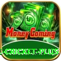 online cricket Pro - Casino & Slots