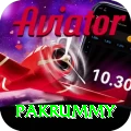 pakrummy Gold v2.8.9