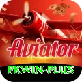 pkwin Apps (Tools & Injectors) Plus v4.0.5