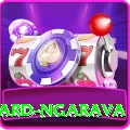 richard ngarava VIP Pro v4.1.7
