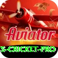 sports cricket - Slots Master