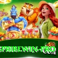 spribewin Pro Edition v5.9.6