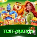 test match Gold Edition v5.4.7