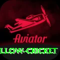 willow cricket Master v2.6.1