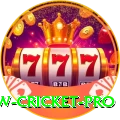 willow cricket Slots Ultimate v2.1.6